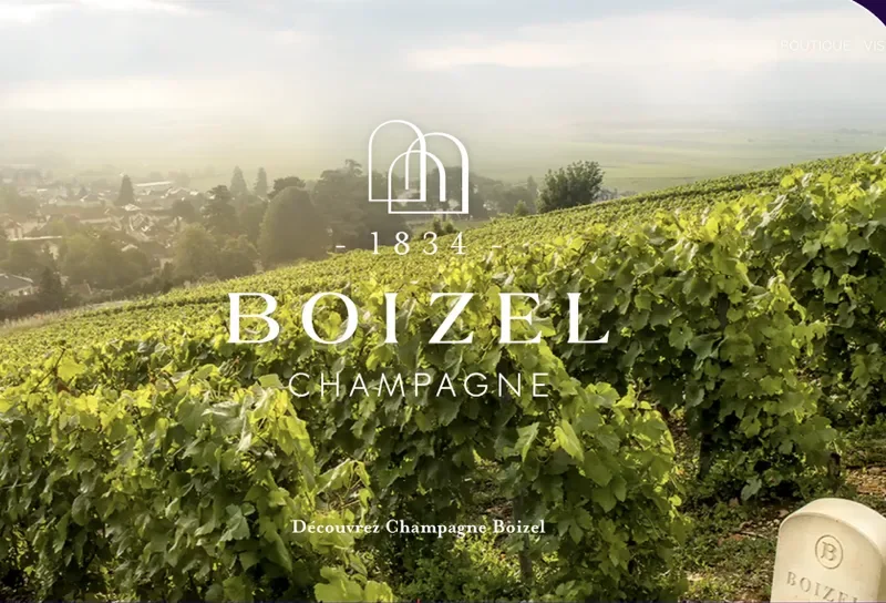 Le vignoble de la maison Champagne Boizel, avec sa marque en surimpression.